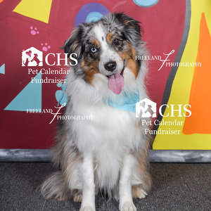 Fundraising Page: Kerry Smyth